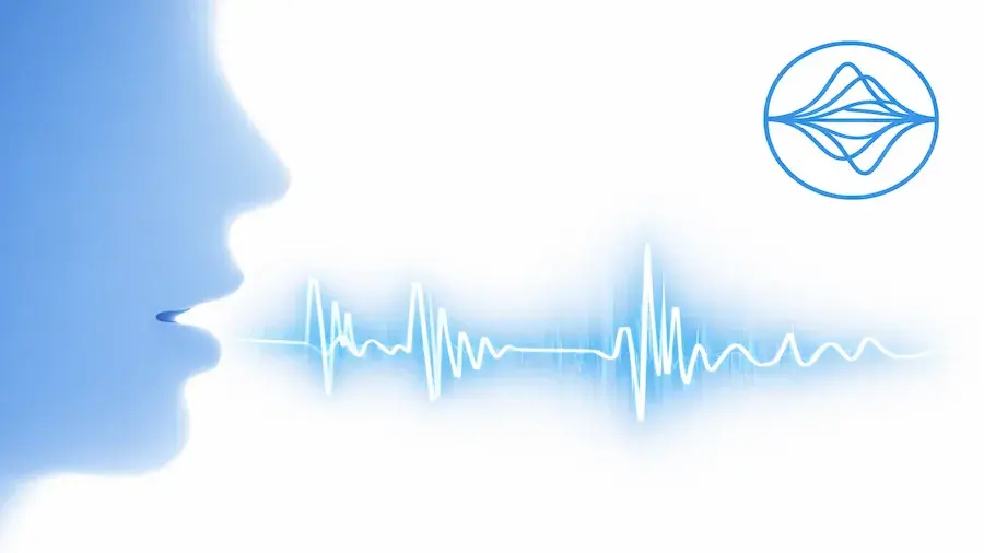 Recorded voice waveform used for forensic voice comparison
