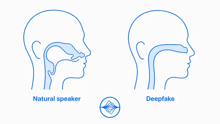 Conceptual comparison between a natural speaker and deepfake speech